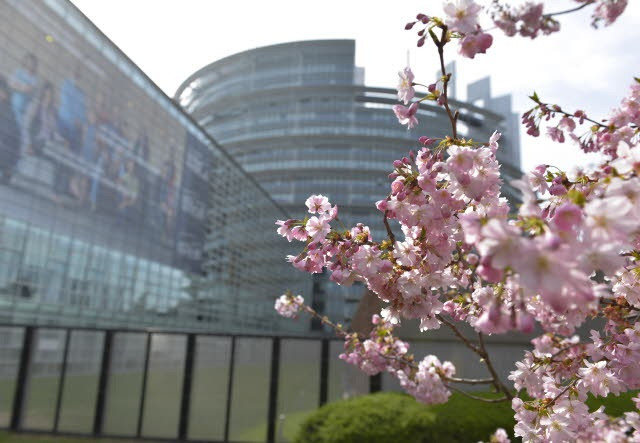 Sede del Parlamento Europeo en Estrasburgo.