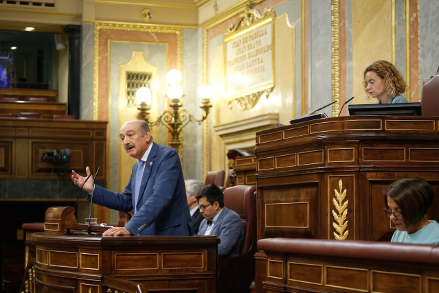 Mazón será portavoz del Grupo Mixto en las comisiones de Hacienda y Política Territorial del Congreso
