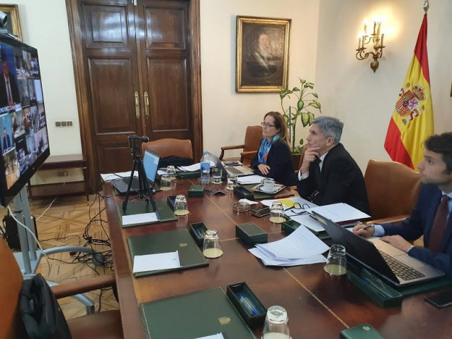 El ministro del Interior, Fernando Grande-Marlaska, en una reunión telemática desde su despacho