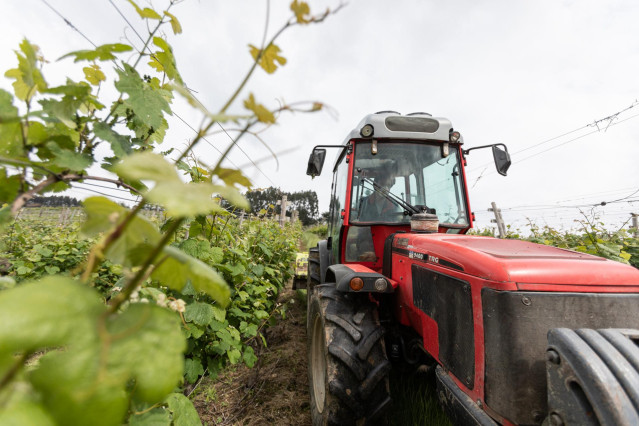 Un trabajador montado en un tractor trabaja en los viñedos de la empresa Txakoli Txabarri denominación de origen 'Vinos de Euskadi'. El sector vitivinícola es uno de los principales motores del turismo y de la riqueza nacional, ya que representa el 1,5% d