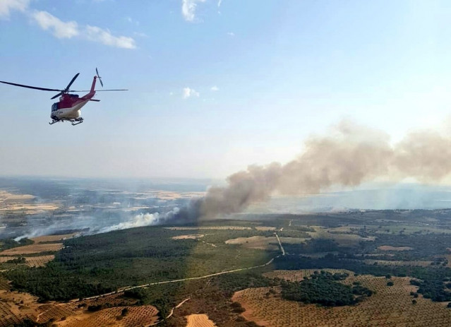 Imágenes del incendio declarado en el término municipal de El Picazo (Cuenca)