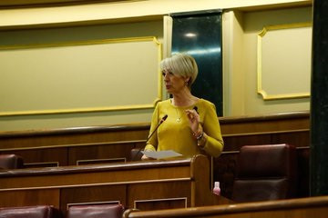 La portavoz de Hacienda de Vox en el Congreso, Inés Cañizares, en una intervención ante el Pleno del Congreso