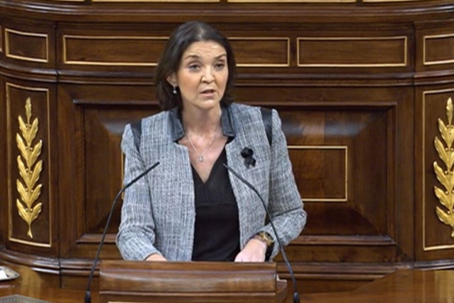Imagen de Maroto en el Congreso de los Diputados.