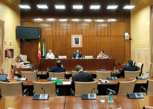 Elías Bendodo, este jueves en el Parlamento