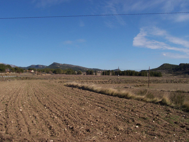 Campo