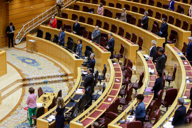 Minuto de silencio por los fallecidos por coronavirus en un Pleno del Senado de mayo.
