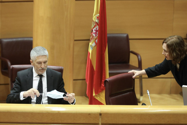 El ministro de Interior, Fernando Grande-Marlaska, en su comparecencia en el Senado