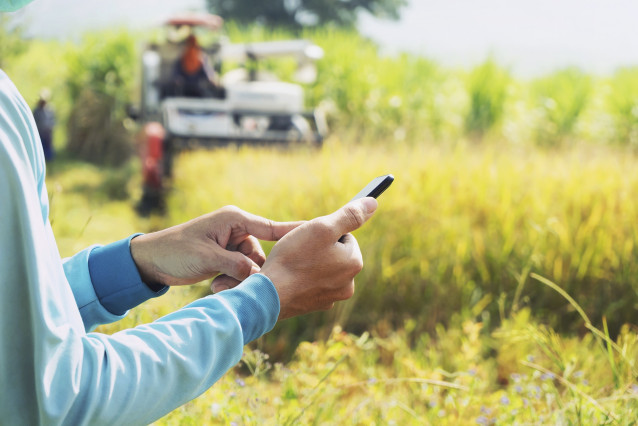 Un usuario utilizando su smartphone en el campo