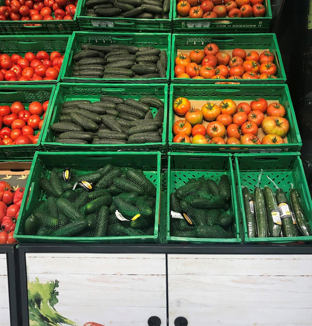 Pepino de origen nacional