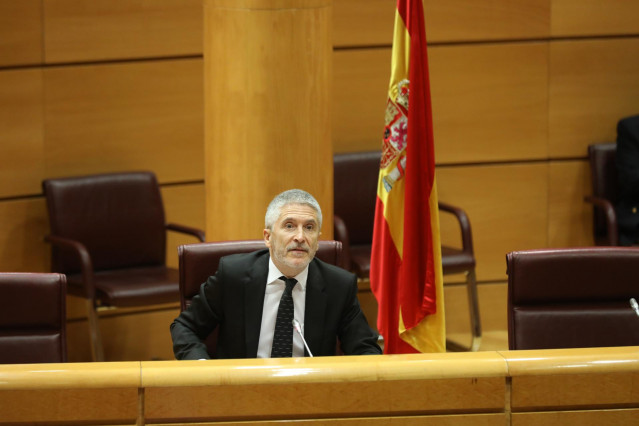 El ministro de Interior, Fernando Grande-Marlaska, antes de comparecer en la Comisión de Interior del Senado.