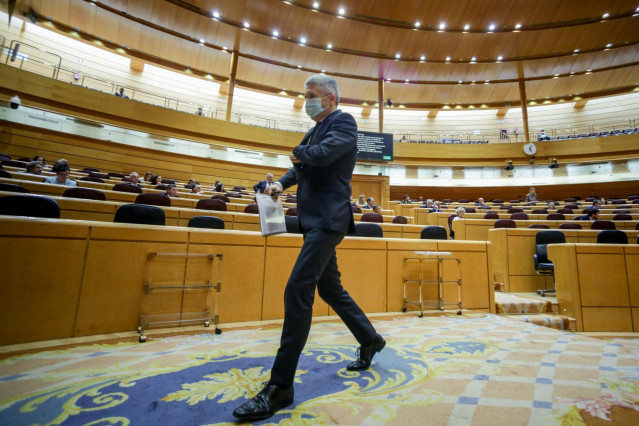El ministro del Interior, Fernando Grande-Marlaska, a su salida del Pleno en el Senado.