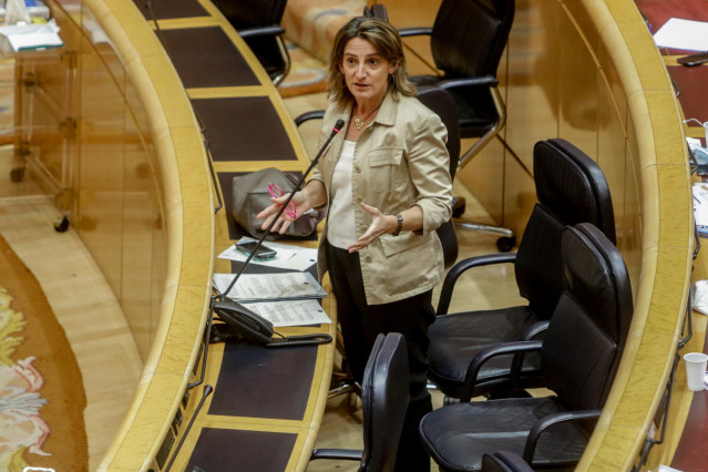 La Vicepresidenta cuarta del Gobierno, Teresa Ribera, durante su intervención en una sesión de control al Gobierno en el Senado en la que se tratan las cuestiones relacionadas con el anuncio del cierre de Nissan, la implantación del ingreso mínimo vital y