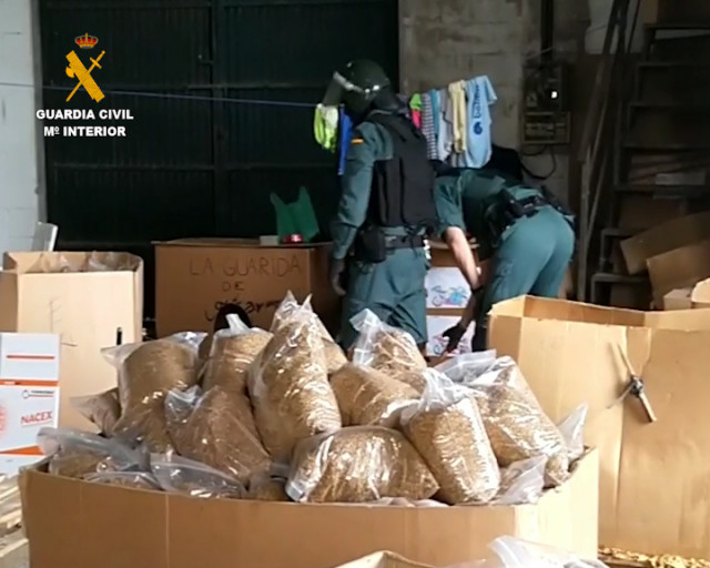 La Guardia Civil aprehende 35.000 kilos de tabaco de contrabando picado y listo para su distribición.