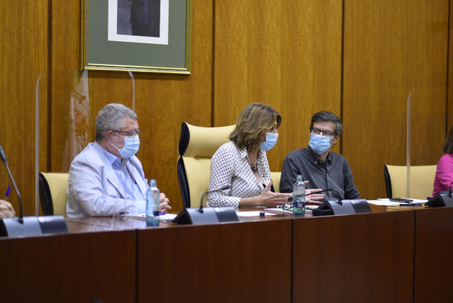 La secretaria general del PSOE-A, Susana Díaz, reunida con los cinco sindicatos que forman parte de la Mesa Sectorial de Salud de Andalucía en el Parlamento