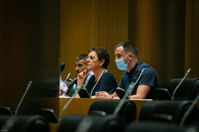 La portavoz de EH-Bildu, Mertxe Aizpurua, en la Comisión para la Reconstrucción