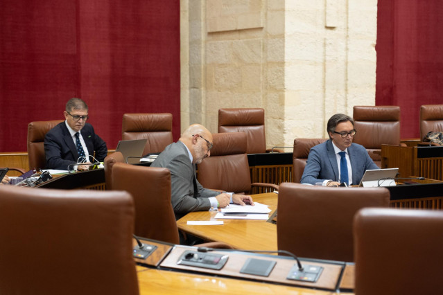 El portavoz parlamentario de Voz, Alejandro Hernández (c) en una foto de archivo en el Pleno del Parlamento junto a miembros de su grupo.
