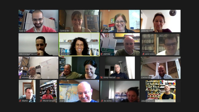 Reuniones semanales  grupales en videoconferencia