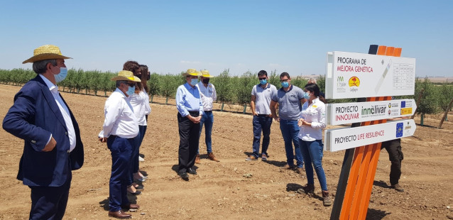 El ministro de Agricultura, Luis Planas, este lunes durante su visita a la finca El Valenciano en Carmona (Sevilla).