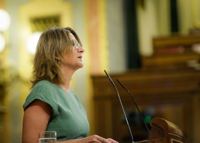 La vicepresidenta para la Transición Ecológica, Teresa Ribera, interviene ante el Pleno del Congreso
