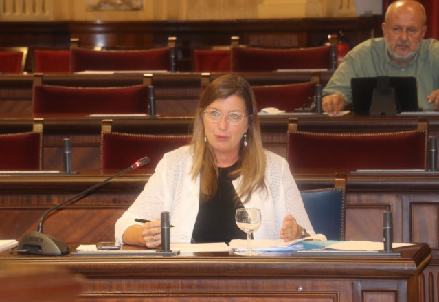 La consellera de Salud y Consumo, Patricia Gómez, en el Parlament.