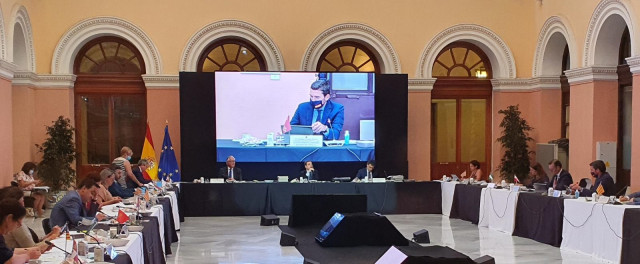El consejero Antonio Luengo durante su intervención en la Conferencia Sectorial de Agricultura sobre el futuro de la Política Agraria Común, celebrada en el Ministerio de Agricultura.
