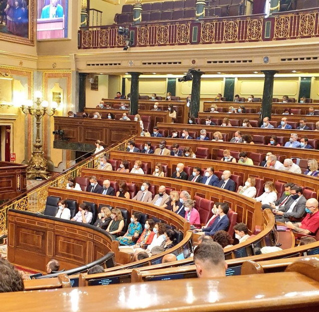 Imagen de los diputados del PSOE en el último Pleno del Congreso antes del parón estival