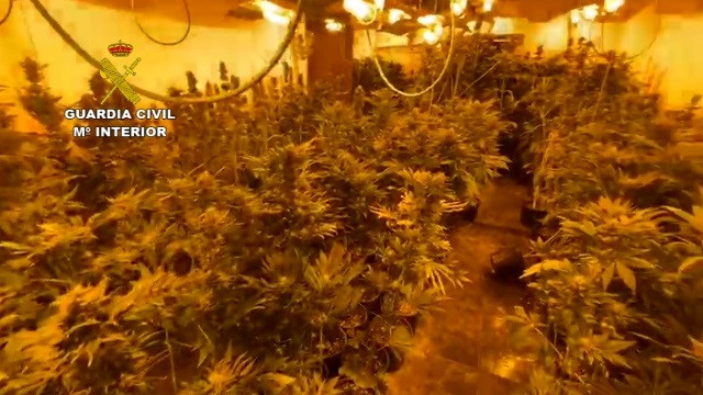 La Guardia Civil detiene a 62 personas en una operación contra el tráfico internacional de drogas.