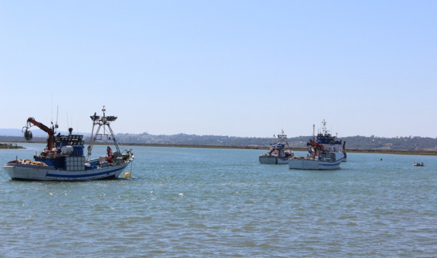 Barcos pesqueros