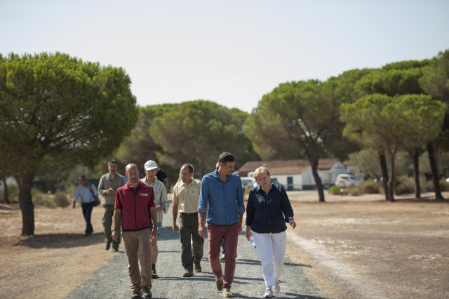 Pedro Sánchez y Angela Merkel en una anterior visita a Doñana