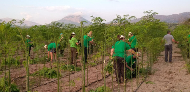 Jóvenes Agricultores