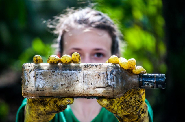 Voluntariado Iberdrola 2020