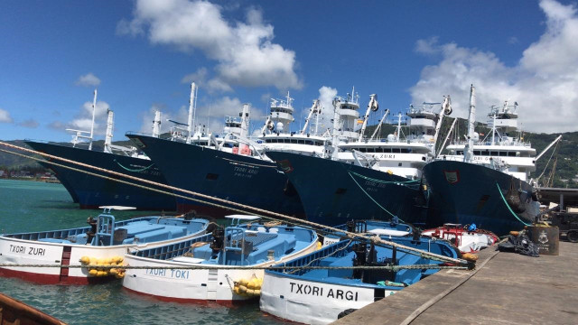 Barcos de la flota atunera española