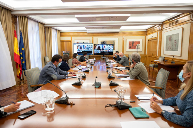 El ministro de Sanidad, Salvador Illa (4i), preside por videoconferencia la reunión del Consejo Interterritorial del Sistema Nacional de Salud.