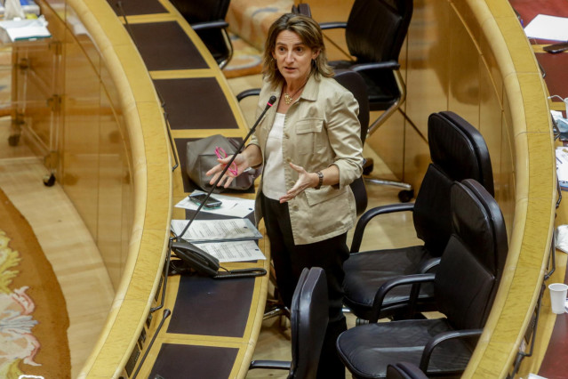 La Vicepresidenta cuarta del Gobierno, Teresa Ribera.