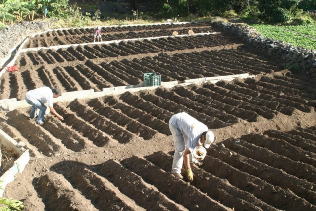 Agricultores, sector primario, finca