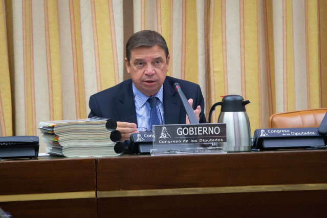 El ministro de Agricultura, Pesca y Alimentación, Luis Planas (archivo)