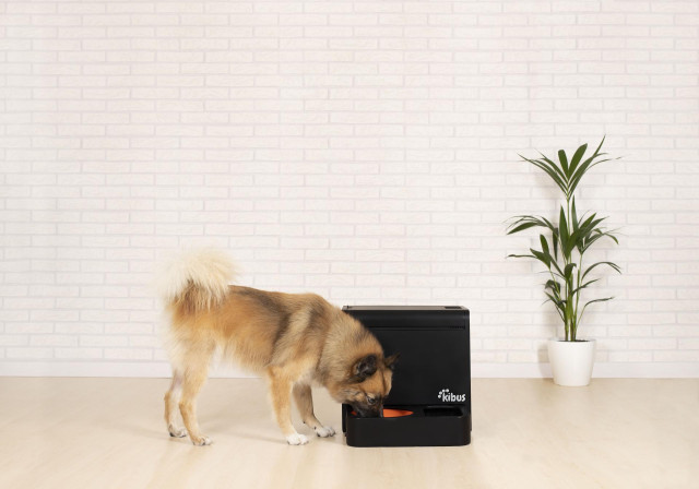 Proyecto Kibus Petcare