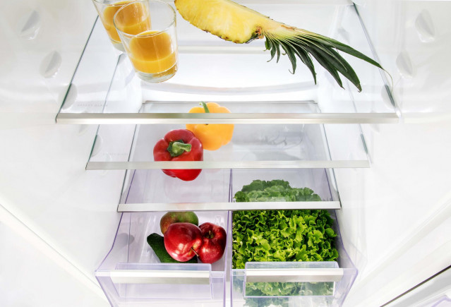 Electrolux crea el primer frigorífico hecho de bioplástico