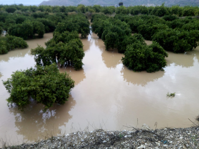 Efectos de la DANA en la Vega Baja