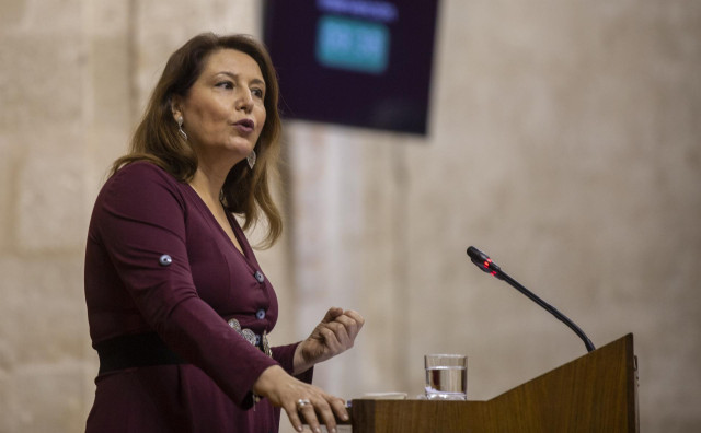 La consejera de Agricultura, Ganadería, Pesca y Desarrollo Sostenible, Carmen Crespo, en un pleno del parlamento
