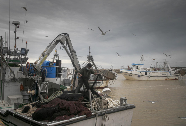 Llegada de un barco pesquero a  la lonja de la Cofradía de Pescadores de Sanlúcar de Barrameda, que han implantado más seguridad y medidas de protección para poder trabajar de la forma más segura posible durante la pandemia del coronavirus
