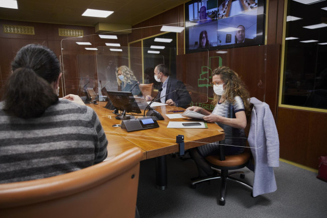 Gotzone Sagardui comparece en el Parlamento Vasco