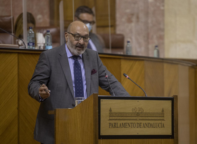 El portavoz del grupo parlamentario Vox, Alejandro Hernández
