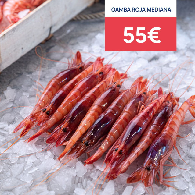 Gamba roja de Almería