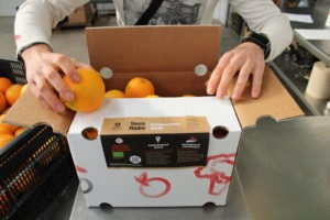 Naranjas comercializadas por Intermon