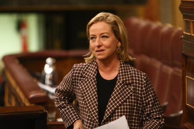 La diputada de Coalición Canaria, Ana Oramas.