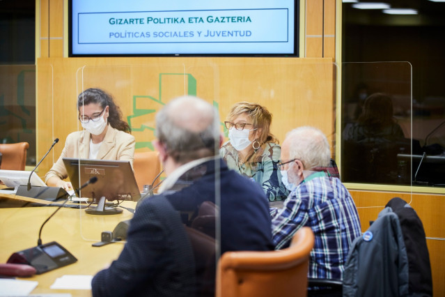 Las asociaciones de familiares de dependientes Babestu Araba, Babestu Bizkaia y Gipuzkoako Senideak han comparecido este miércoles ante la Comisión de Políticas Sociales y Juventud