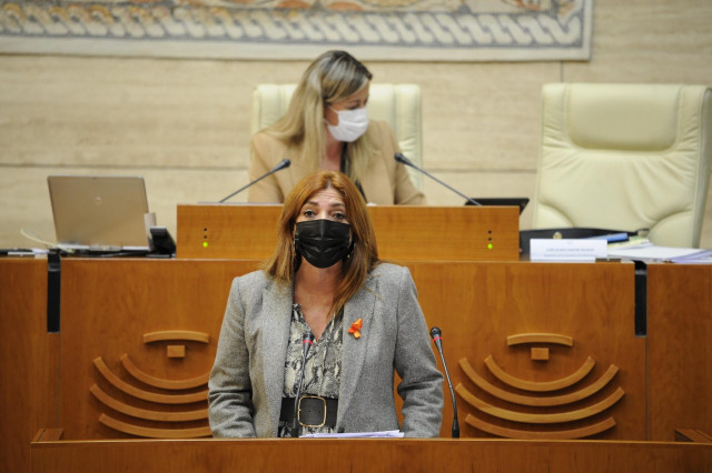 La portavoz de Educación del Grupo Popular en la Asamblea, Pilar Pérez.