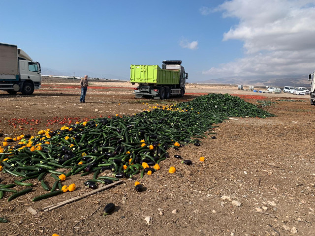 Agricultores de Almería arrojan pepinos, pimientos y berenjenas por los bajos precios que achacan parcialmente a la competencia desleal de terceros países