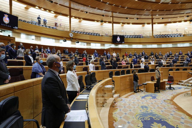 Senadores y miembros del Gobierno guardan un minuto de silencio en recuerdo a las últimas víctimas de violencia de género al inicio de una sesión de control al Gobierno en la Cámara Alta, en Madrid (España), a 6 de octubre de 2020.